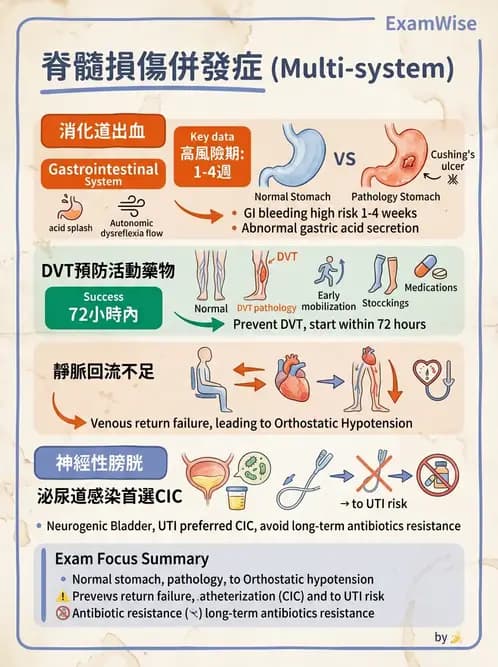物治 - SCI併發症與呼吸管理 - AI 圖文解析預覽