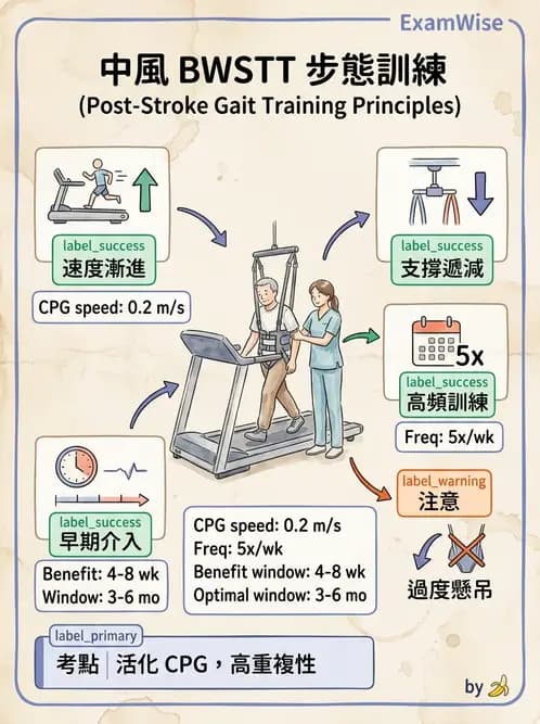 物治 - 腦中風步態分析與行走訓練 - AI 圖文解析預覽