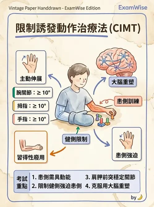 物治 - 腦中風上肢肩部與體適能 - AI 圖文解析預覽