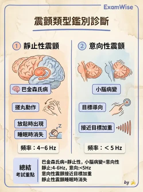 物治 - 巴金森氏病物理治療 - AI 圖文解析預覽
