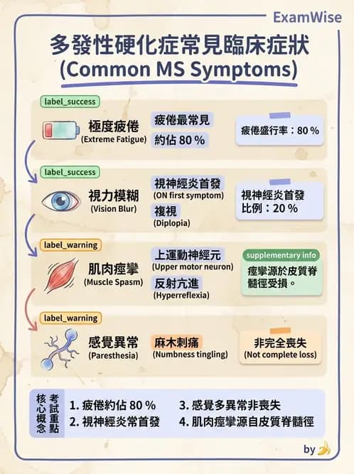 物治 - 多發性硬化症物理治療 - AI 圖文解析預覽