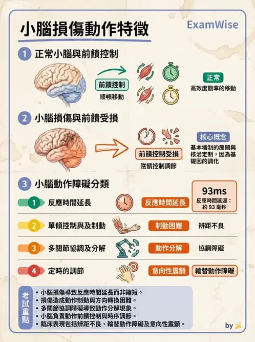 物治 - 小腦疾病物理治療 - AI 圖文解析預覽