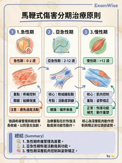 物治 - 頸椎評估與病理 - AI 圖文解析預覽