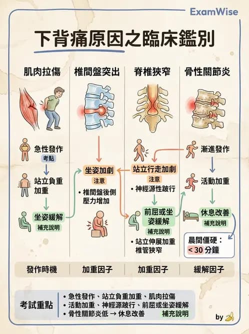 物治 - 腰椎椎間盤與脊椎狹窄 - AI 圖文解析預覽