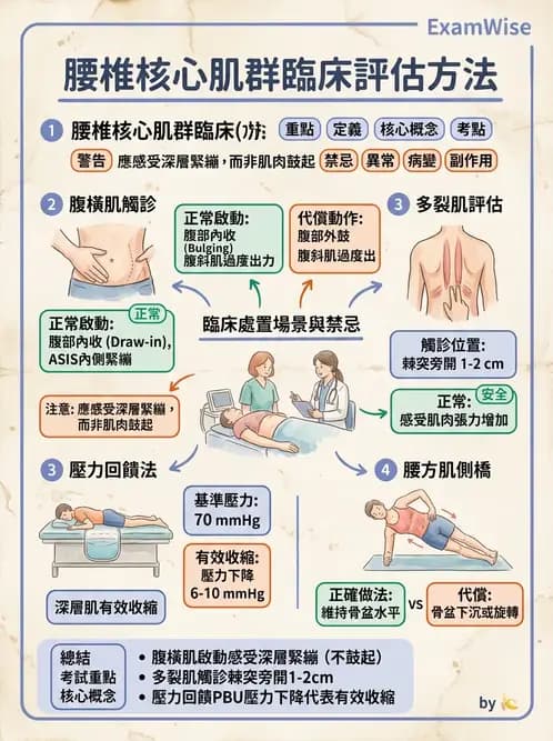 物治 - 腰椎穩定訓練與治療原則 - AI 圖文解析預覽