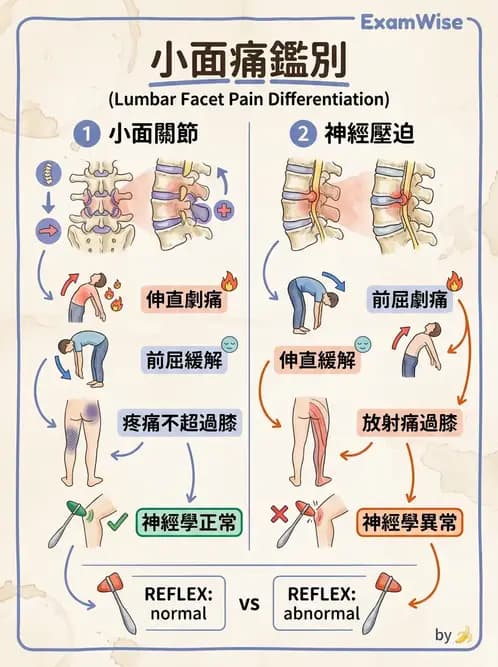 物治 - 腰椎椎間盤與脊椎狹窄 - AI 圖文解析預覽