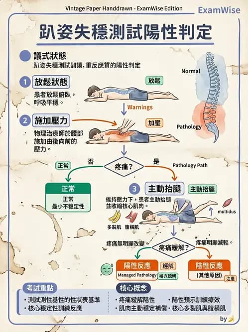 物治 - 腰椎穩定訓練與治療原則 - AI 圖文解析預覽