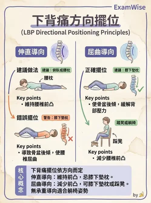 物治 - 腰椎穩定訓練與治療原則 - AI 圖文解析預覽