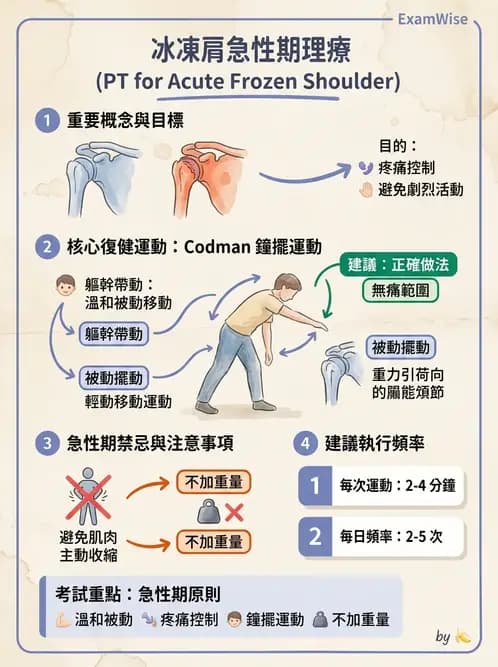 物治 - 冰凍肩與胸廓出口症候群 - AI 圖文解析預覽