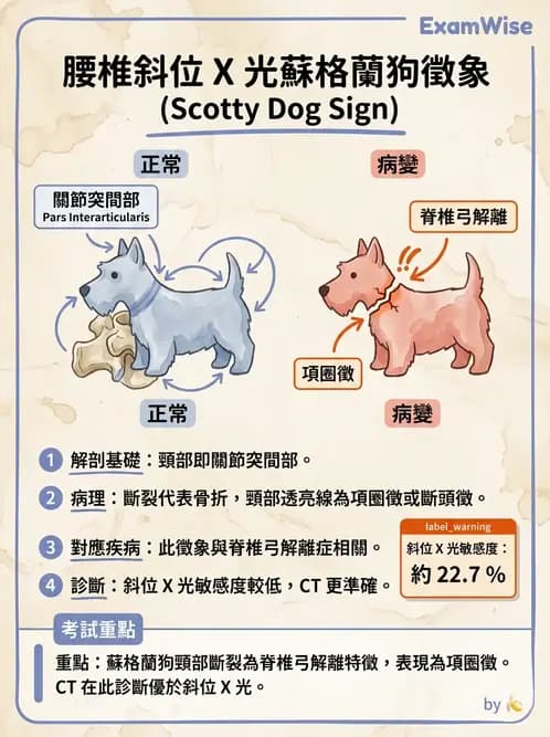 物治 - 腰椎椎間盤與脊椎狹窄 - AI 圖文解析預覽