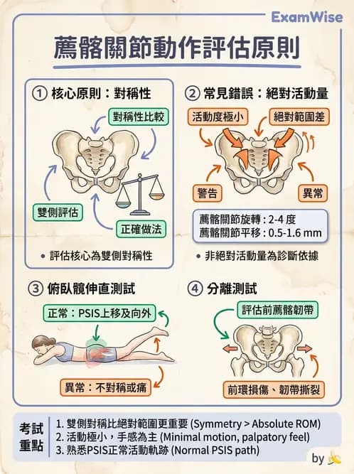 物治 - 薦髂關節評估與治療 - AI 圖文解析預覽