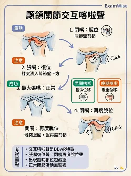 物治 - 顳頷關節 - AI 圖文解析預覽