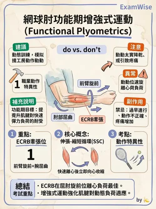 物治 - 肘及前臂關節 - AI 圖文解析預覽