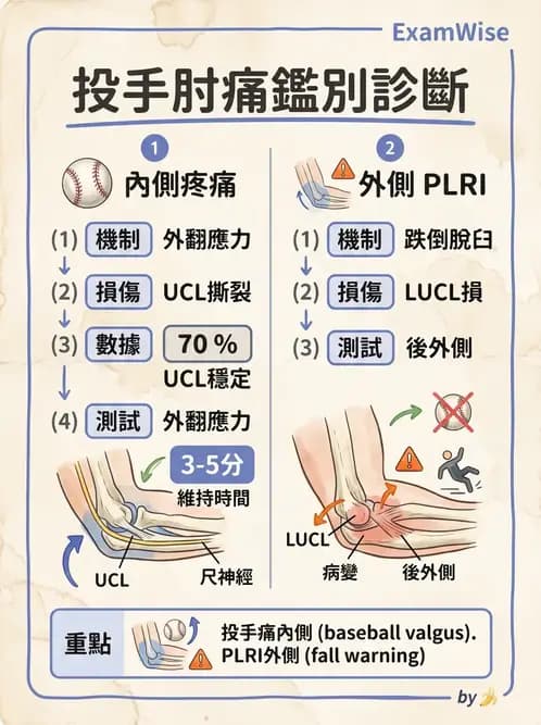 物治 - 肘及前臂關節 - AI 圖文解析預覽