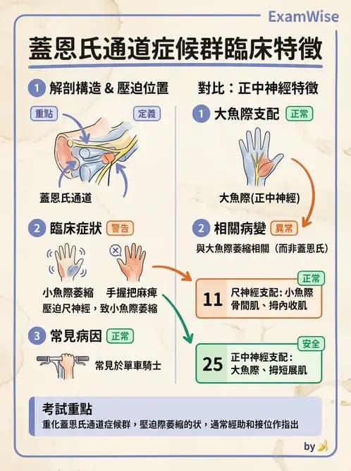 物治 - 腕關節疾病 - AI 圖文解析預覽