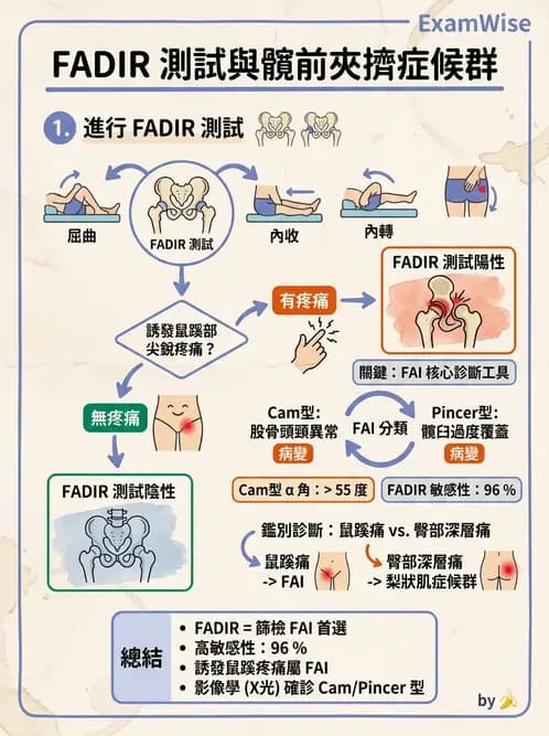 物治 - 髖關節病變與手術復健 - AI 圖文解析預覽