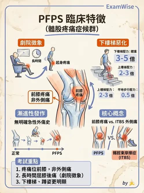 物治 - 髕股關節疼痛與伸展機制 - AI 圖文解析預覽