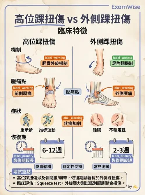 物治 - 踝關節損傷與復健 - AI 圖文解析預覽