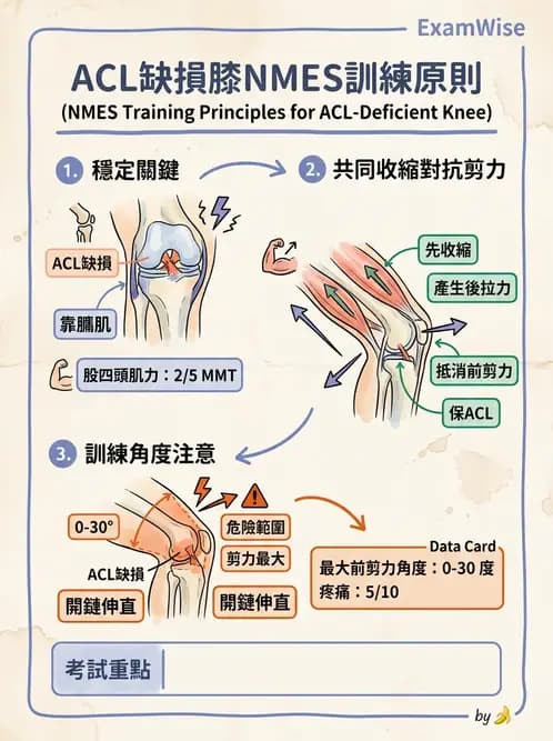 物治 - 膝關節韌帶與半月板損傷 - AI 圖文解析預覽