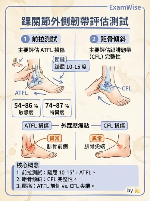 物治 - 踝關節損傷與復健 - AI 圖文解析預覽
