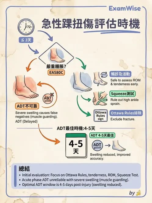 物治 - 踝關節損傷與復健 - AI 圖文解析預覽