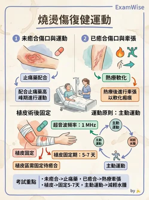 物治 - 皮膚與淋巴系統物理治療 - AI 圖文解析預覽