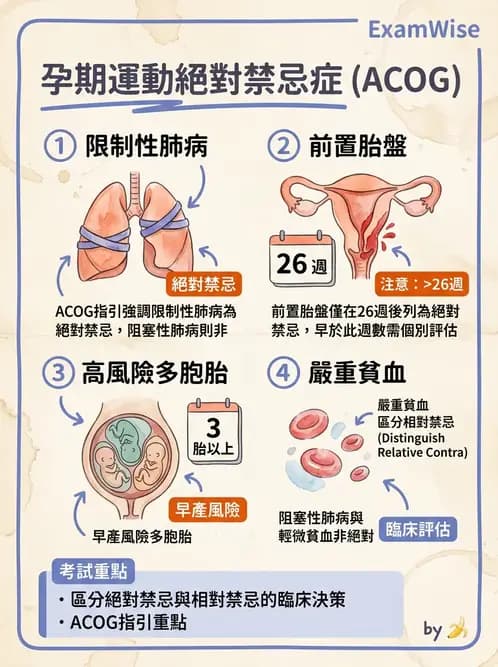 物治 - 女性健康 - AI 圖文解析預覽