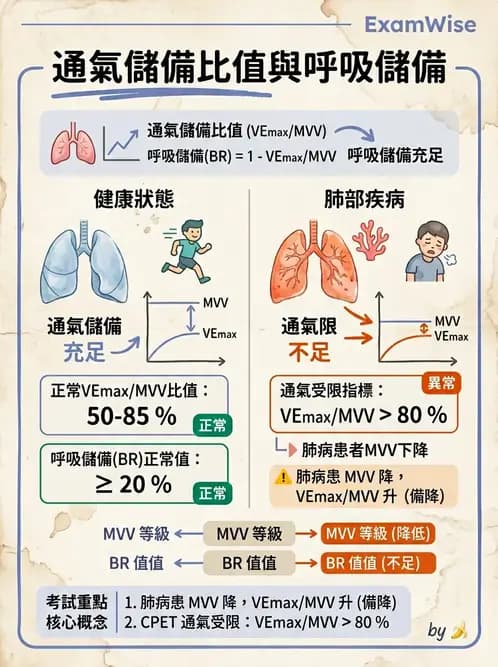 物治 - 肺功能測試與血氣體分析 - AI 圖文解析預覽