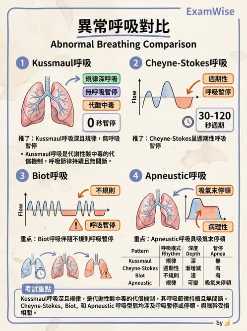 物治 - 呼吸臨床評估技術 - AI 圖文解析預覽