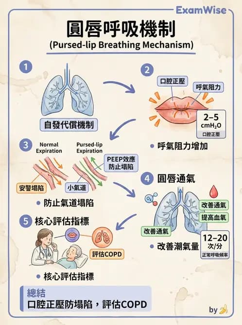 物治 - 呼吸臨床評估技術 - AI 圖文解析預覽