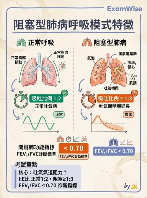 物治 - 阻塞性肺疾病物理治療 - AI 圖文解析預覽