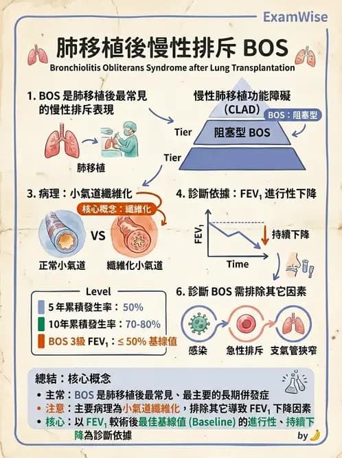 物治 - 胸腔手術、肺移植與呼吸器 - AI 圖文解析預覽