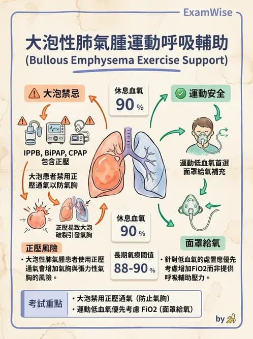 物治 - 阻塞性肺疾病物理治療 - AI 圖文解析預覽