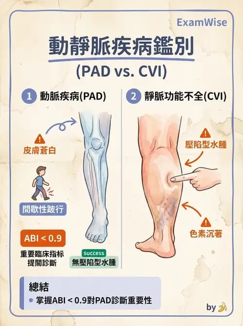 物治 - 心臟藥物、輔助裝置與周邊血管 - AI 圖文解析預覽