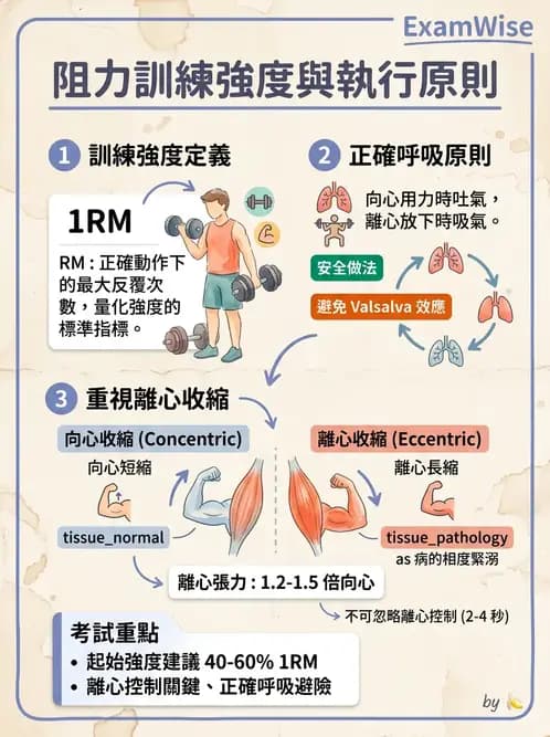 物治 - 運動生理學與能量代謝 - AI 圖文解析預覽