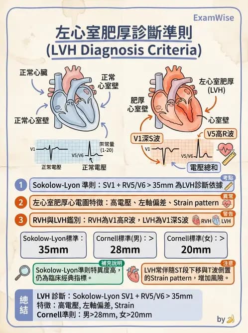 物治 - 心電圖判讀 - AI 圖文解析預覽