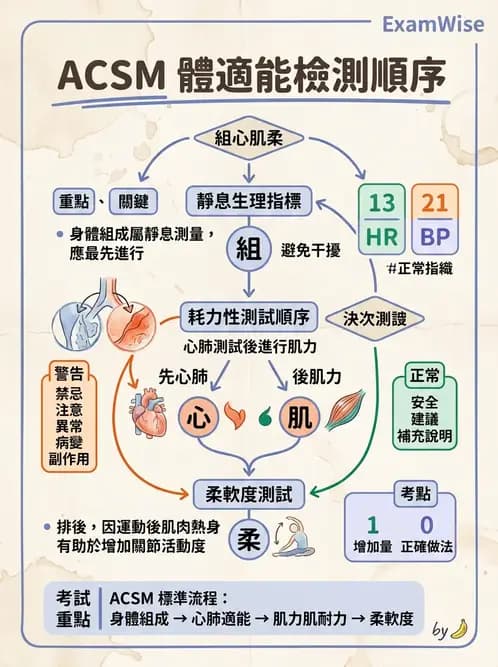 物治 - 體適能評估與運動測試 - AI 圖文解析預覽