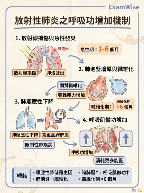 物治 - 癌症物理治療 - AI 圖文解析預覽