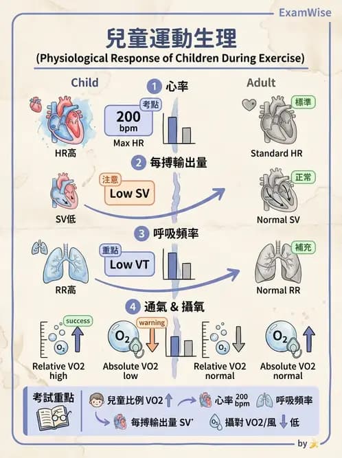 物治 - 小兒物理治療基礎與原理 - AI 圖文解析預覽