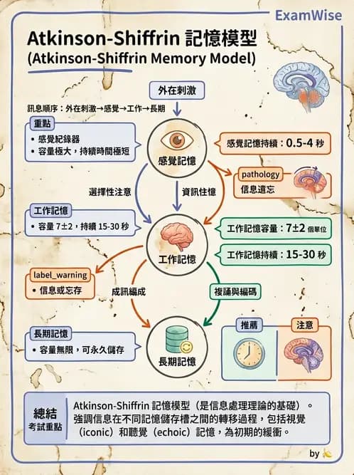 物治 - 小兒物理治療基礎與原理 - AI 圖文解析預覽