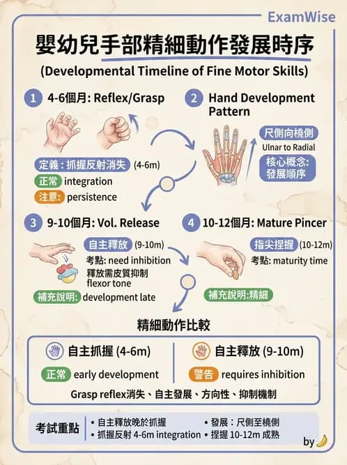 物治 - 兒童發展里程碑(動作與認知) - AI 圖文解析預覽