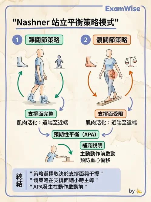 物治 - 小兒物理治療基礎與原理 - AI 圖文解析預覽