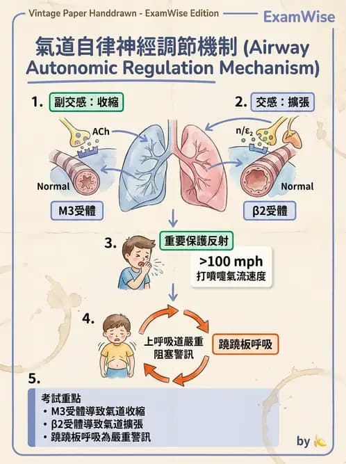 物治 - 小兒呼吸疾患與NICU物理治療 - AI 圖文解析預覽