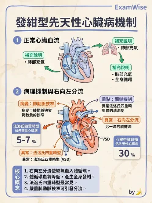 物治 - 小兒心臟、癌症與外傷物理治療 - AI 圖文解析預覽