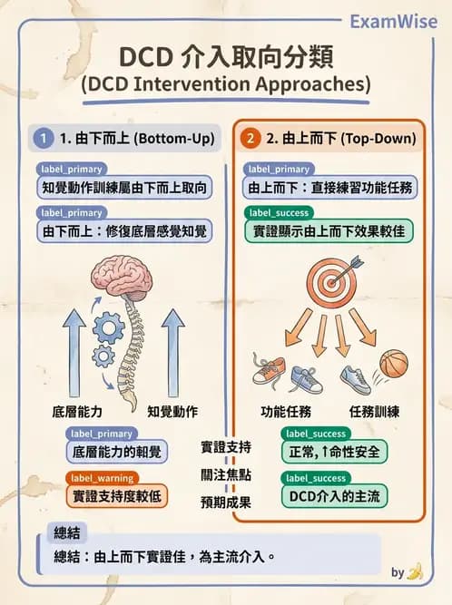 物治 - DCD、ADHD與行為介入 - AI 圖文解析預覽