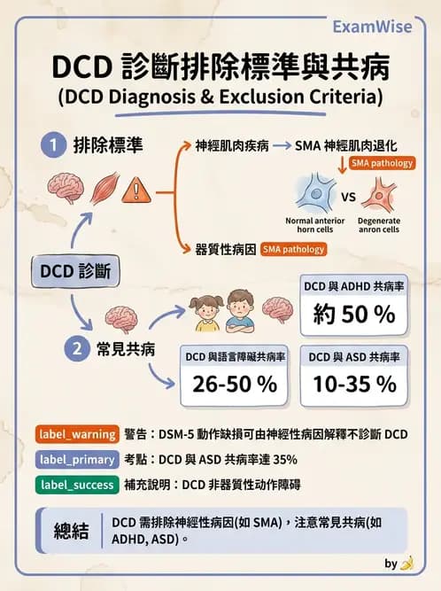 物治 - DCD、ADHD與行為介入 - AI 圖文解析預覽