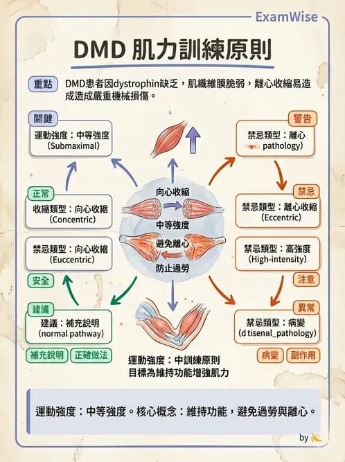 物治 - 脊柱裂、神經肌肉疾病與腦傷 - AI 圖文解析預覽