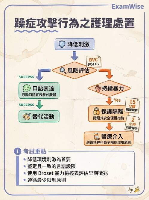 護理師 - 雙相情緒障礙護理 - AI 圖文解析預覽