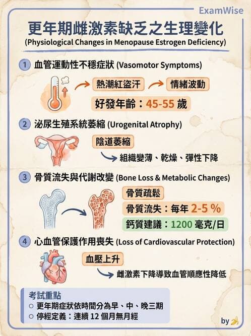 護理師 - 婦幼與青少年健康 - AI 圖文解析預覽