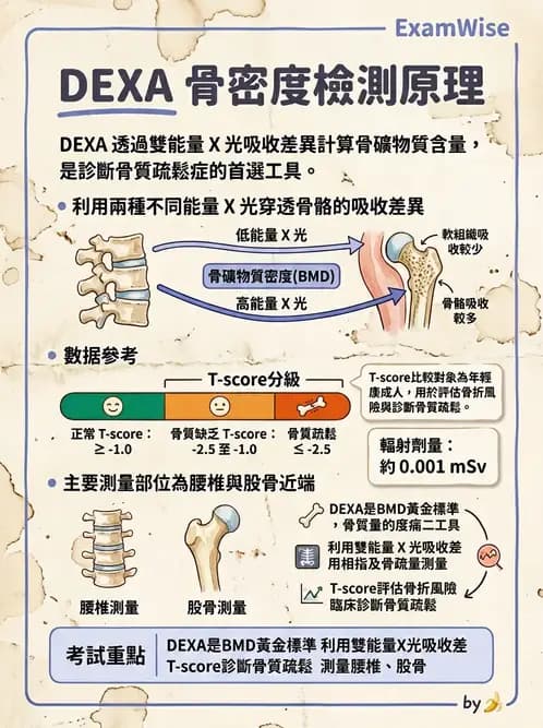 營養 - 骨骼與關節疾病 - AI 圖文解析預覽